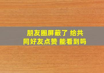 朋友圈屏蔽了 给共同好友点赞 能看到吗